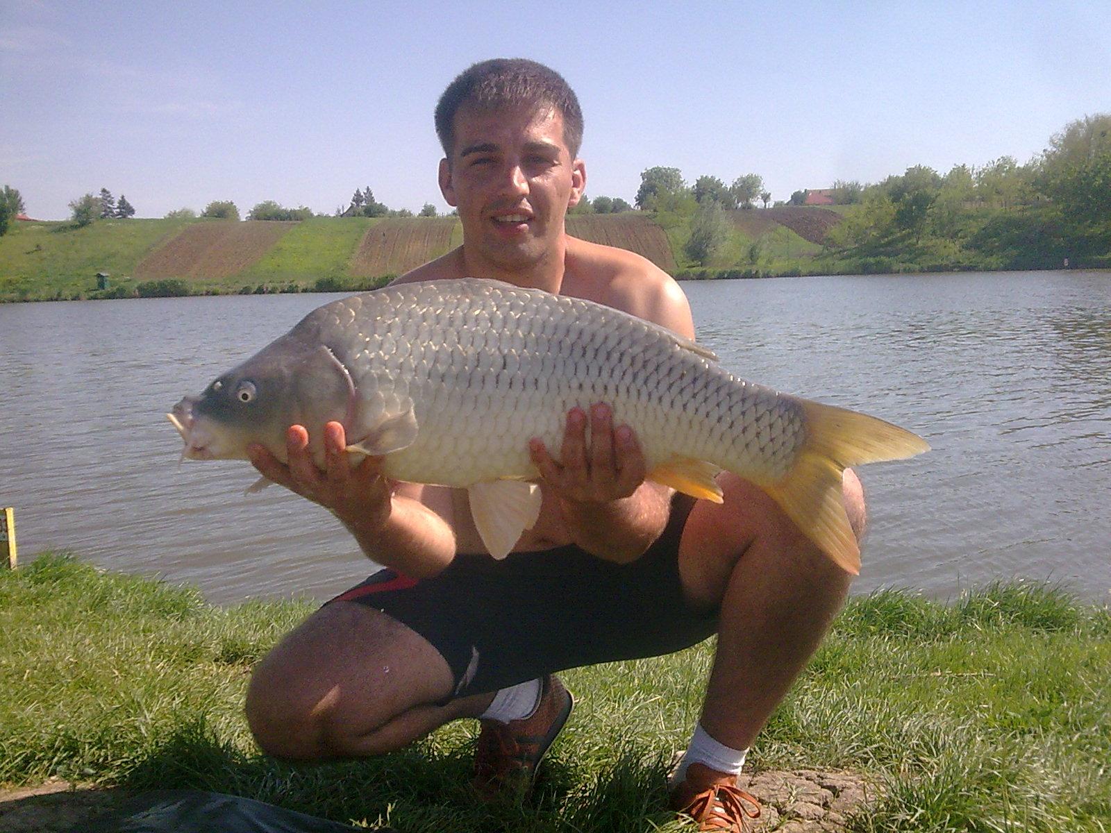 mv2 - imagine1035.jpg